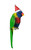 Rainbow Lorikeet - Aussie Christmas Tree Ornament 10-12cm