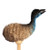 Pencil - Emu