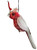 Christmas Ornament - Galah  7-9cm