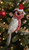 Christmas Ornament - Galah  7-9cm