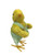 Farmer Chick with Overalls - Male 18cm