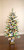 Christmas Tree "Snow Spruce" - Flocked 120cm - With Lights