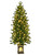 Green Spruce 120cm in Lit Pot with Multifunction lights