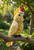 Christmas Ornament - Cockatoo 7-9cm