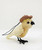 Akubra Hat Hanging Ornament - Cockatoo 7-9cm