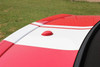 EURO RALLY XL | Ford Mustang Racing Stripes Center Wide Offset Decals