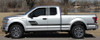 Ford F150 Truck Side Decals ELIMINATOR 2015-2018 2019 2020