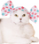  Kitan Club Cap for Cats - Candy Blind Box (Random)