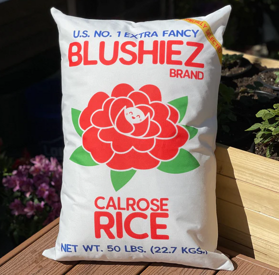 Blushiez Calrose Rice Decorative Throw Pillow (LARGE)