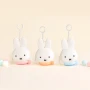 Miffy Earbuds & Little Treasures Silicone Pouch Blind Box (Random)