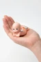 Smoko Kewpie®️ Blind Box Figure (Random)