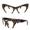 Leopard Style on Brown Frame