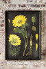 Wood Framed Vintage Botanical Print with Glass Front - II