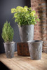 Zinc Drum Planters - Set of 3