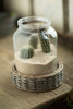 Glass and Wicker Terrarium - Cylinder