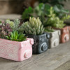 CEMENT PIG PLANTER