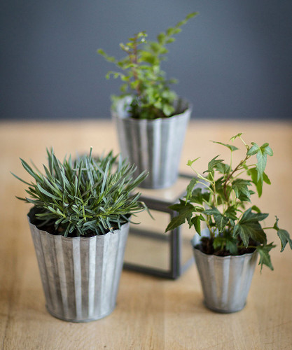 Set of Three Tin Pots