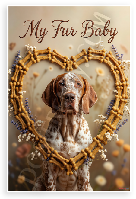 My Fur Baby Bracco Italiano Dog Bone Heart Frame 12x18 US Made Poster
