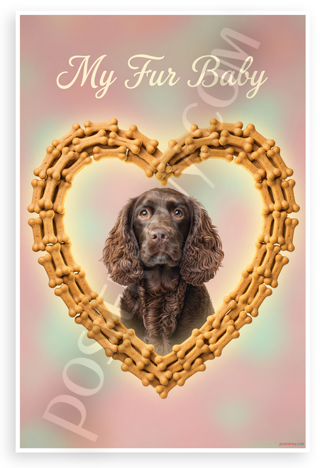 My Fur Baby American Water Spaniel Dog Bone Heart Frame 12x18 US Made Poster
