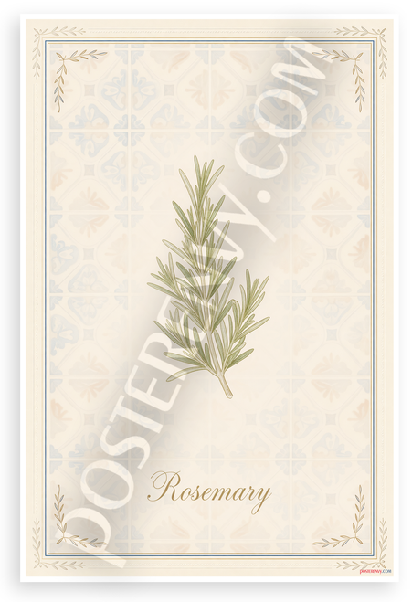 Rosemary Herb Botanical Illustration Provençal Kitchen 12x18 US Made Poster