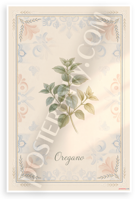 Oregano Herb Botanical Illustration Provençal Kitchen 12x18 US Made Poster