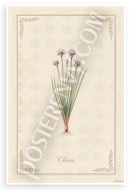 Chives Botanical Illustration Vintage Kitchen Herb 12x18 US Made Poster