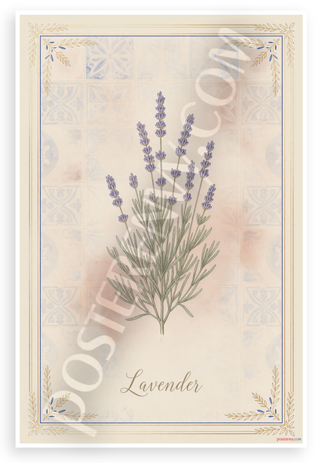 Lavender Botanical Illustration Provençal Style 12x18 US Made Poster
