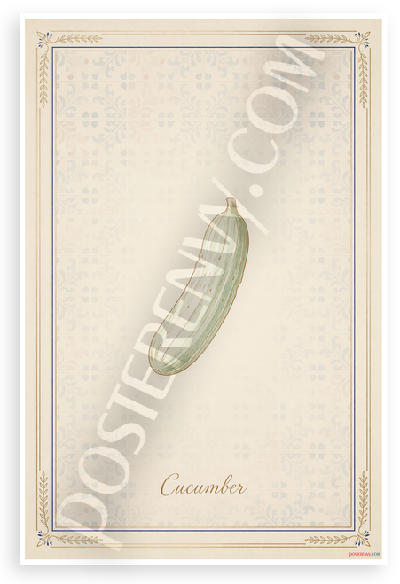 Cucumber Botanical Illustration French Kitchen 12x18 US Made Poster