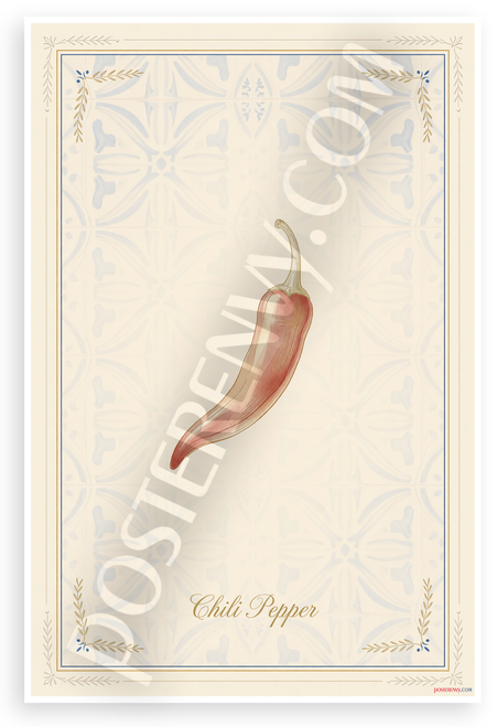 Chili Pepper Provençal Botanical Illustration 12x18 US Made Poster