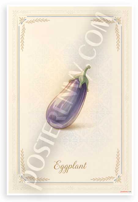 Eggplant Botanical Illustration Provençal Kitchen 12x18 US Made Poster