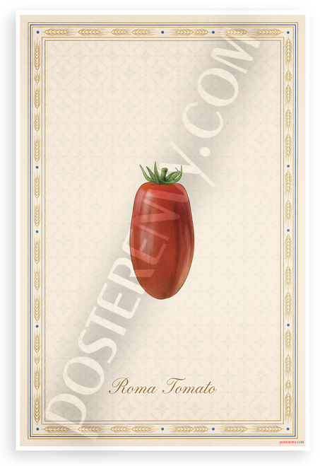 Roma Tomato Provençal Botanical Illustration 12x18 US Made Poster