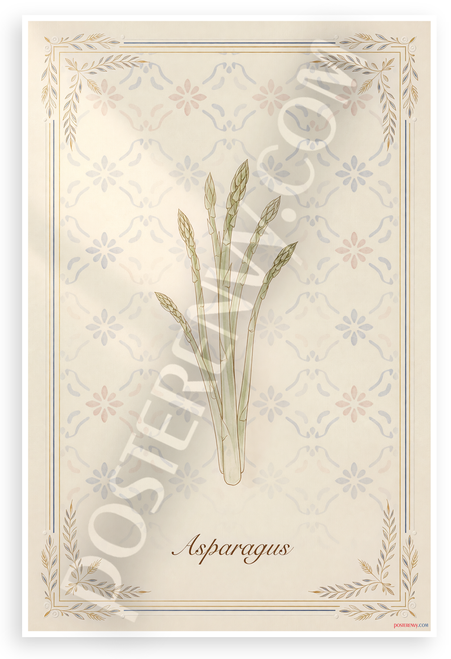 Asparagus Botanical Illustration Provençal Kitchen 12x18 US Made Poster