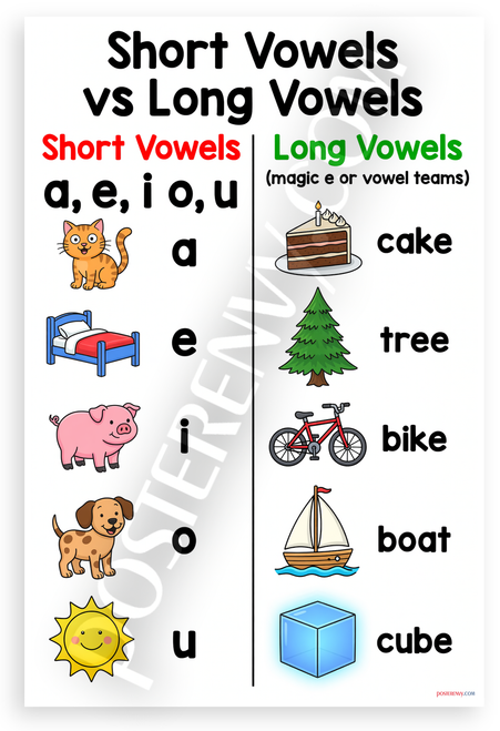 Short Vowels vs Long Vowels Educational Chart 12x18 US Made Poster