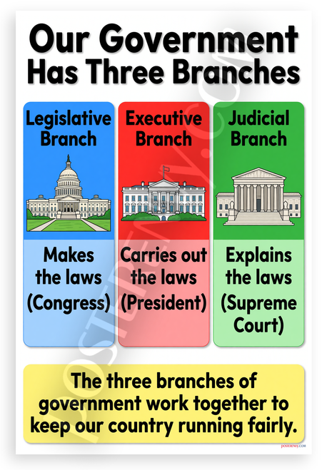 Our Government Has Three Branches Legislative Executive Judicial Educational 12x18 US Made Poster
