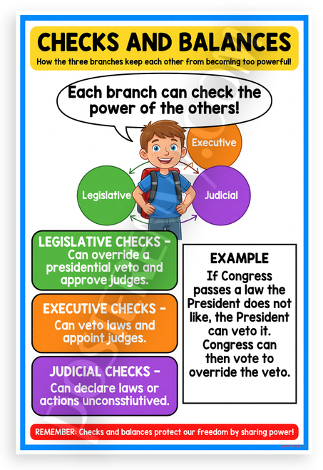 Checks and Balances Three Branches Government Educational 12x18 US Made Poster