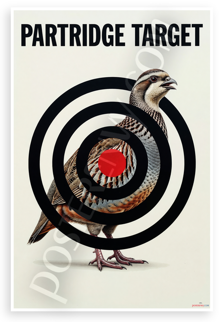 Partridge Target Practice Shooting Range 12x18 US Made Poster