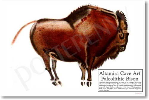 Altamira Bison - Cave Drawings