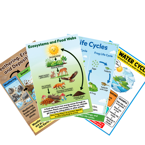 Earth Science -- Weathering, Erosion, Deposition, Water Cycle, Life Cycles, Ecosystems Food Webs 4 Poster Set — 12x18 Inch US Made