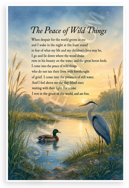 The Peace of Wild Things Poem Nature Scene 12"x18" US Made Poster