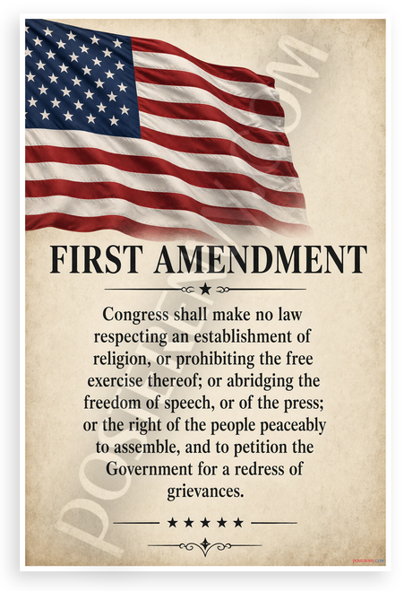 First Amendment US Flag Patriotic Constitution 12x18 US Made Poster