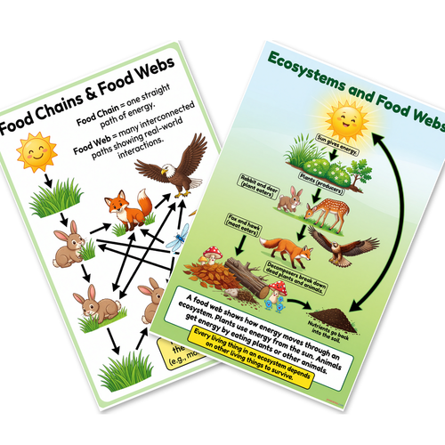 Food Chains and Food Webs — 2 Poster Set — Food Chain Diagram, Ecosystems and Energy Flow — 12x18 Inch | Made in USA