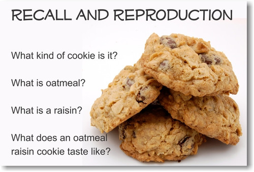 Recall and Reproduction - NEW Classroom Reading and Writing Poster