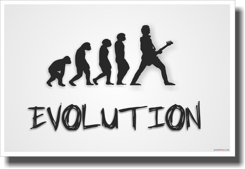 Bass Evolution - White - NEW Music Poster