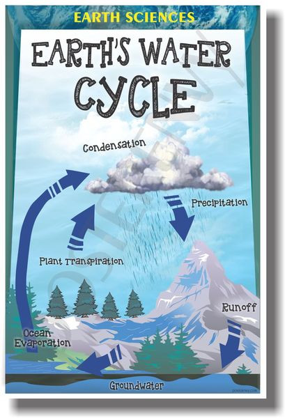 Earths Water Cycle - NEW Classroom Science Poster