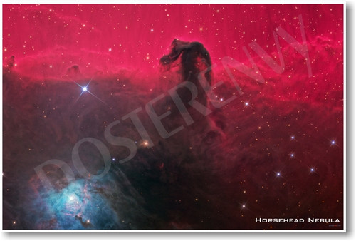 Horsehead Nebula - NEW Space Astronomy Poster