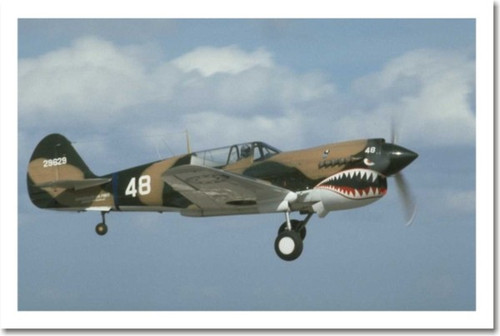WWII P40 Mustang Aircraft in flight Poster