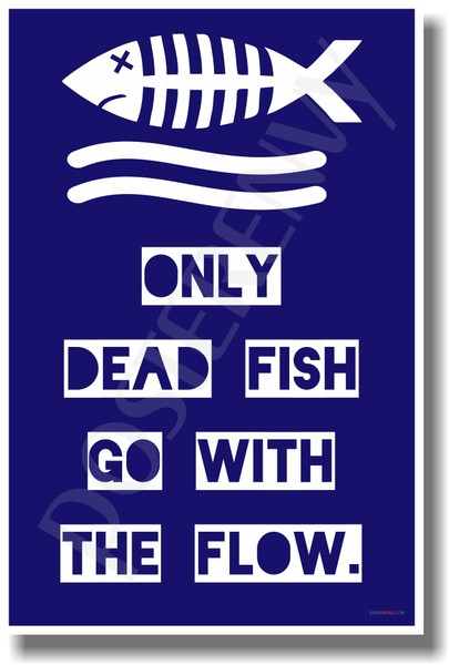 Only Dead Fish Go With The Flow - NEW Humor Poster