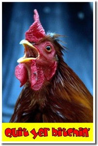 Quit yer bitchin' rooster chicken funny poster 