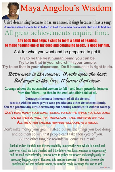 Maya Angelou's Wisdom - NEW Famous Person Poster