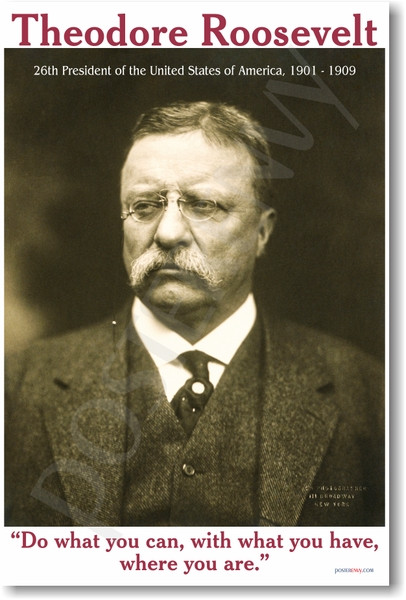 Theodore Roosevelt - "Do What You Can..." - NEW Famous President Poster